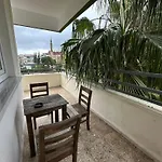 Palm 2*