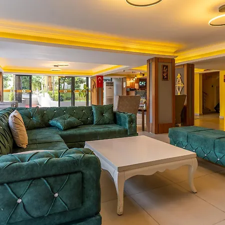 Palm 2* אלאניה